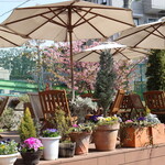 Cheval Cafe - 