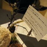 プレゼンテ スギ - 〜シェフからの最初の贈り物〜 　　　定点トマト飴