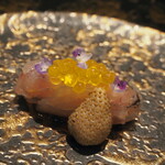 プレゼンテ スギ - カルパッチョ