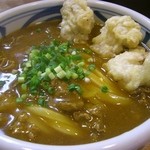 手打うどん 風月 - ＜2013年1月＞かしわ天カレー