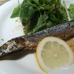 マンモスカフェ - 