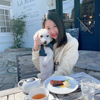 レストラン ラ・マーレ - 