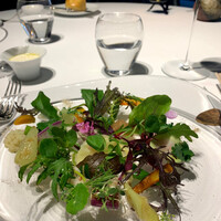 レフェルヴェソンス - 