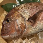 Dashiya Owan - 新鮮な鯛を使用した品々も必見です！鯛しゃぶやお刺身、薄造りやカマ焼きなど様々な調理方法でご提供致します。