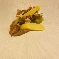 il Ktutti - ホタルイカとホワイトアスパラガスと肝のムース