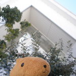 レグリーズ・鎌倉 - チャペルな外観♪