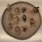 アントシカダ - 