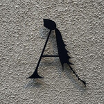 アントシカダ - 