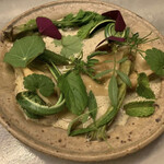 アントシカダ - 