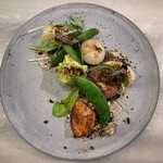 アントシカダ - 