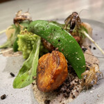 アントシカダ - 