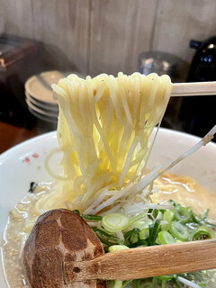Taifuu - たい風ラーメン 麺アップ
