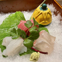 韻松亭 - お造り