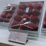 FRUIT - 