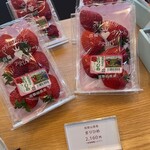 FRUIT 御堂筋店 - 