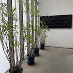 やま中・本店　鮨と日本料理　 - 