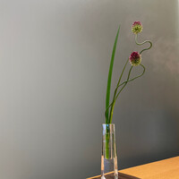 やま中・本店　鮨と日本料理　 - 