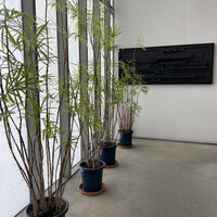 やま中・本店　鮨と日本料理　 - 