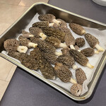 プレゼンテ スギ - 