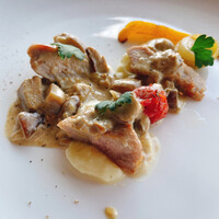 International cuisine subzero - 
