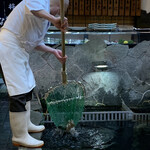Uoshou Sakana Chan - 生簀から取り出した魚をすぐに捌く！