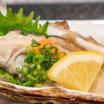 和食居酒屋虎視眈々 - 当店では牡蠣を1年中置かせていただき、季節毎に提供内容を変えさせていただいております。夏は生牡蠣、冬はグラタンをお楽しみください。