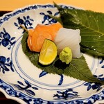 銀座 しのはら - サクラマスとアオリイカ