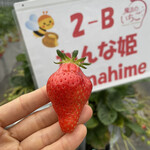 姫路ハートフル観光農園 - かんな姫