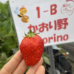 姫路ハートフル観光農園 - かおりの
