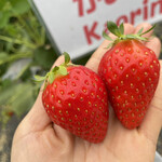 姫路ハートフル観光農園 - かおりの