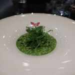 グッチオステリアダマッシモボットゥーラ - 