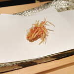 にい留 - 車海老の頭。大人のえびせんです。