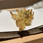 にい留 - 蕗の薹