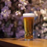 Japanese Restaurant KINZA - 