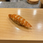 鮨 やすみつ - 車海老