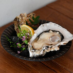 “Today's raw Oyster” Seasonal raw Oyster from all over the country (1 piece)