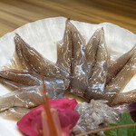 醍醐 - 新物ほたるいか