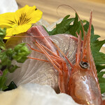 醍醐 - かんぱち