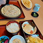 本家さぬきや - ざるうどん590円&ポテト390円