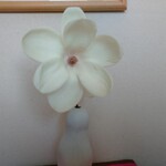 天満直販 - いやあ 開きました    木蓮 