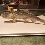 天ぷら うらかみ - 鮎