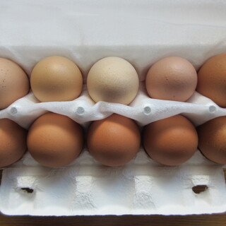 ニワトリノニワ_2