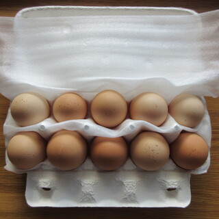 ニワトリノニワ_1