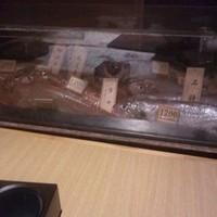 八吉 新橋店 - 2013.01.30  本日の魚、ガラスが曇ってわかりません！