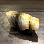 小判寿司 - 小鰭