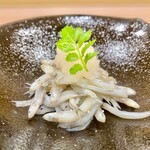 川田 - 2022.2.  氷魚