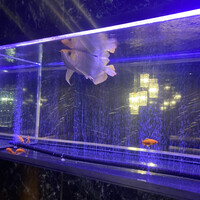 焼肉 拍手喝采 - 