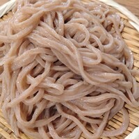 自家製粉石臼挽きうどん 青空blue 本店 - 