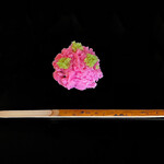 瓢亭 - ✽ 恥ずかしながら持ち帰りました。瓢亭御用達の菓子匠の嘯月さんのきんとん（金団）で『梅だより』です。ピンク色のそぼろは白餡、中の餡子は粒餡です