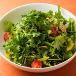 Pesticide-free coriander green salad